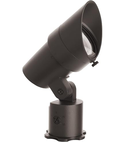 WAC Landscape Lighting, LED 12V Medium Size Accent Light with
